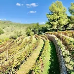 Es Castell De Ca N\'Alou De Ses Cases Noves