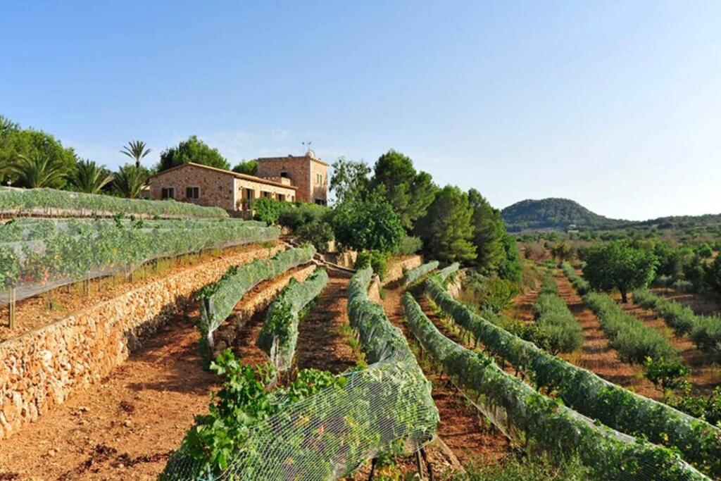 Villa Es Castell De Ca N'alou De Ses Cases Noves *